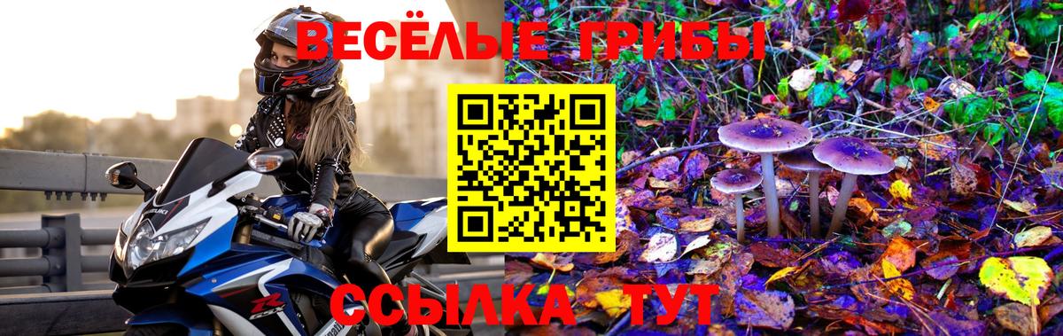 Галлюциногенные грибы ЛСД Алапаевск