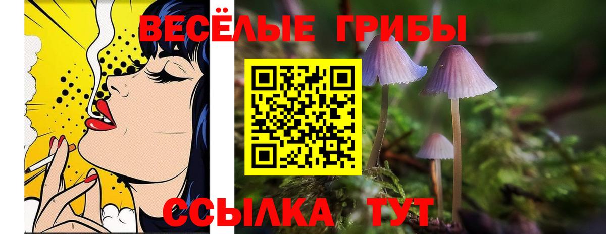 Алапаевск  наркотики  Вход с VPN  Галлюциногенные грибы ЛСД 